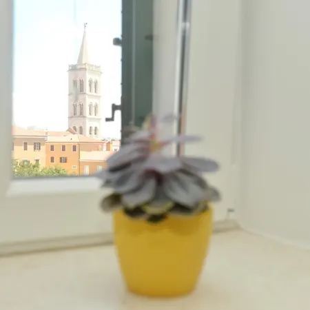 Junona - Poluotok Na Dlanu * Zadar